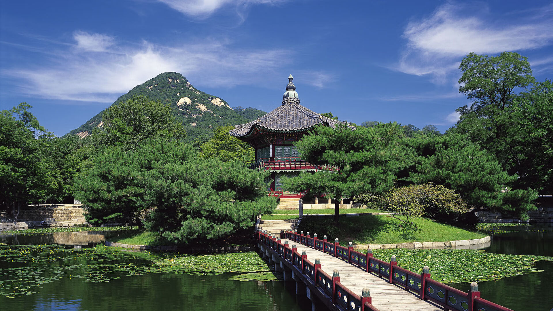 九游游戏中心官网-勇士队战术调整得当，连胜多场稳居西部前列，勇士队dub