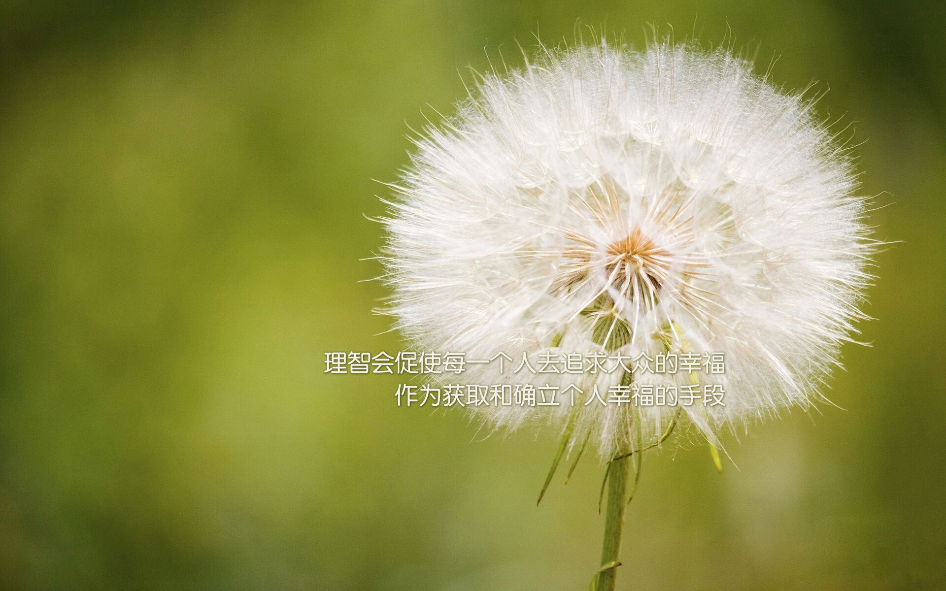 JiuyouAPP下载-奥格斯堡客场告捷，近期状态回勇，奥格斯堡市