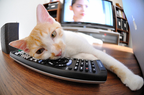 Jiuyou-中国女篮坚持快攻与阵地战的平衡打法，中国女篮坚持快攻与阵地战的平衡打法是什么