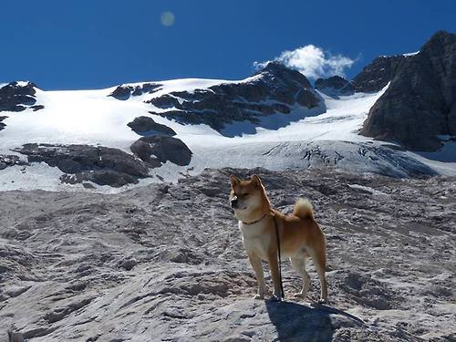 JIUYOU GAMING-争冠球队防守稳定性是否优于争四球队，争球权是什么意思