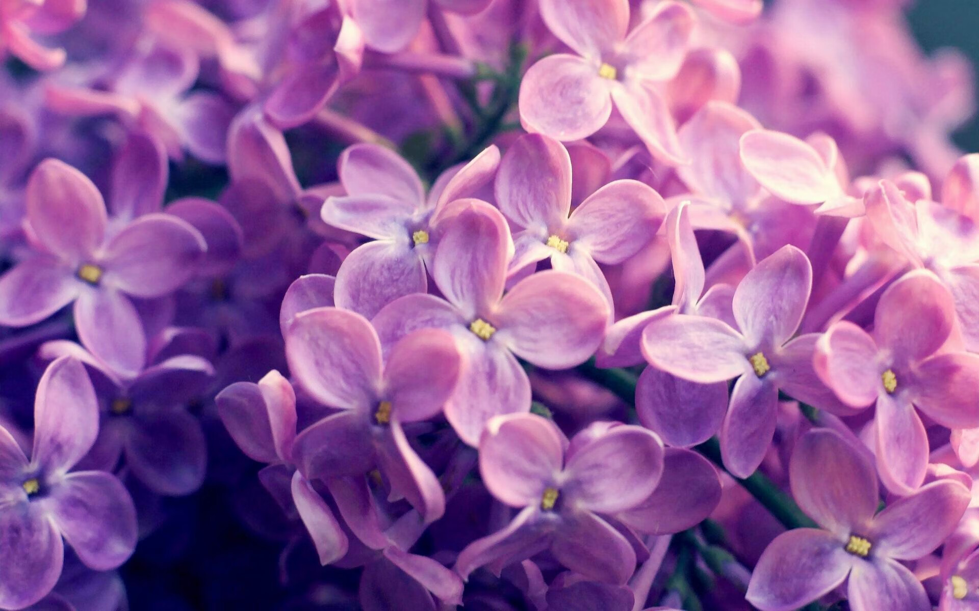 九游下载中心-湖畔竞技，2025赛事引爆全城