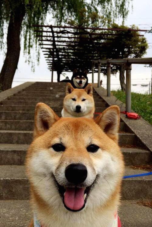 九游官网pc-中国足球联赛提升数据转播延迟响应精度,足球比赛延迟最长多少时间