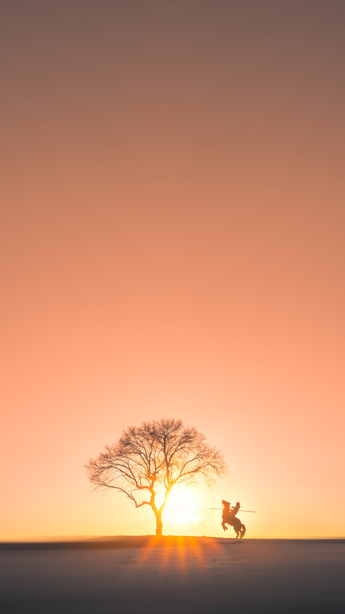 九游登录入口-南非橄榄球赛事成为国际品牌营销的新平台，南非 橄榄球