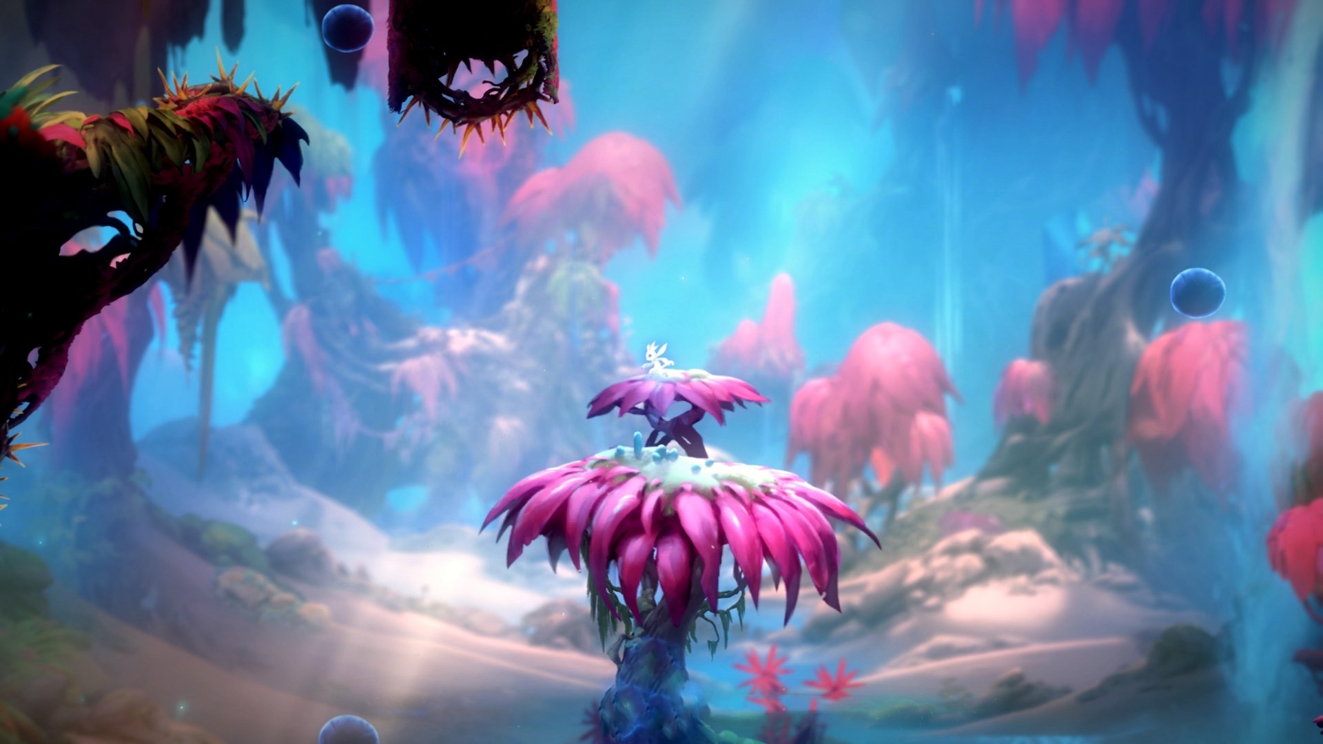 九游网页版官网入口-地方青训项目与高校联动打通学生升学与职业通道，青训招生