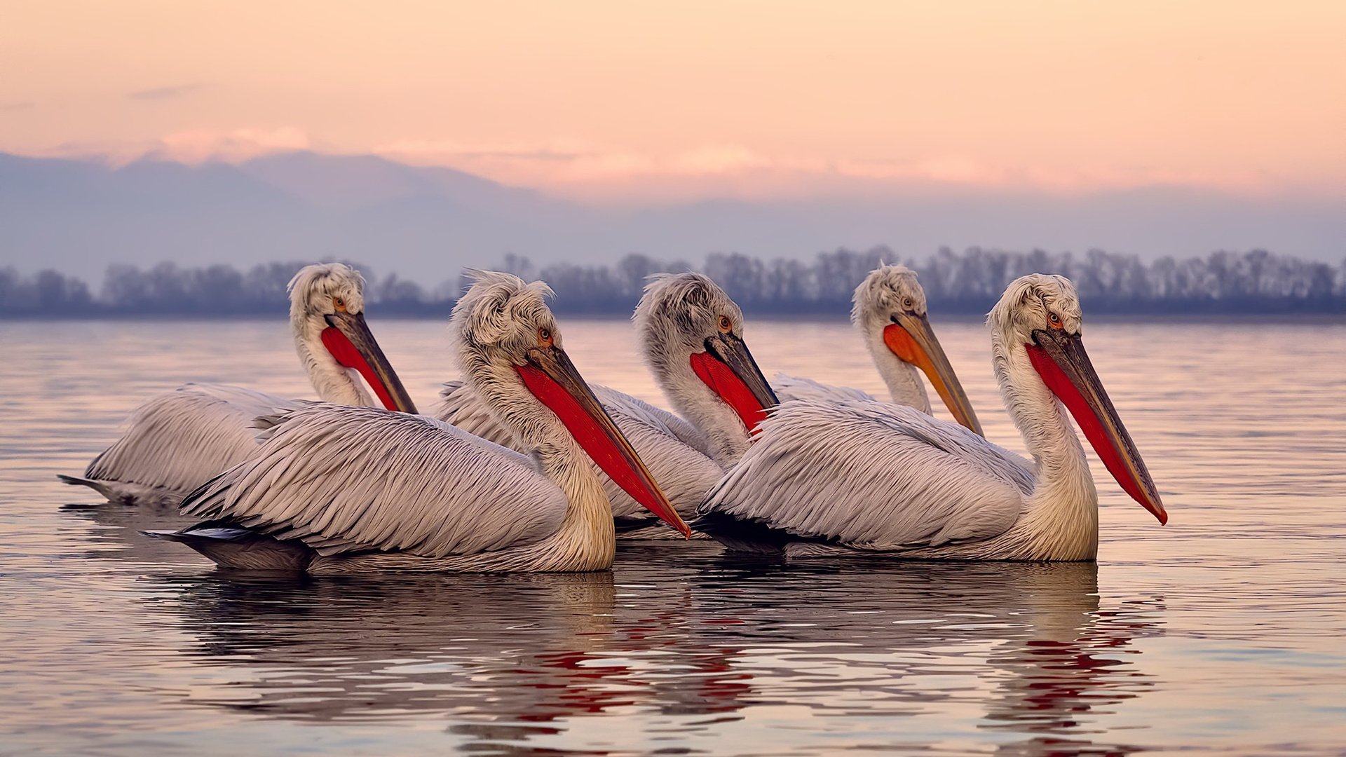 JIUYOU GAMING-技术雷达图显示团队整体优化趋势，团队能力雷达图