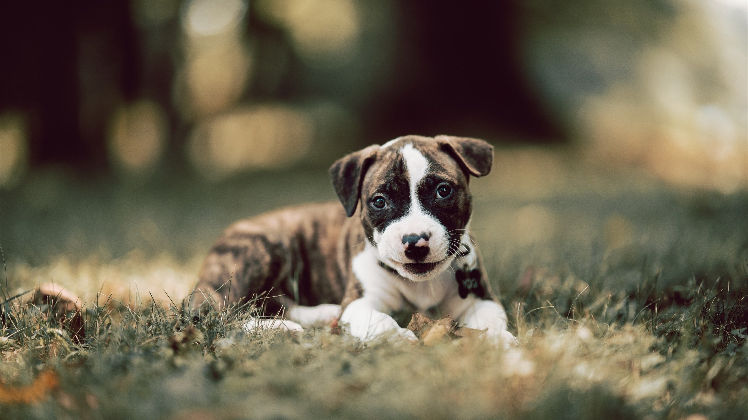 JIU YOU GAME-皇马青训再出新星，阵容未来可期