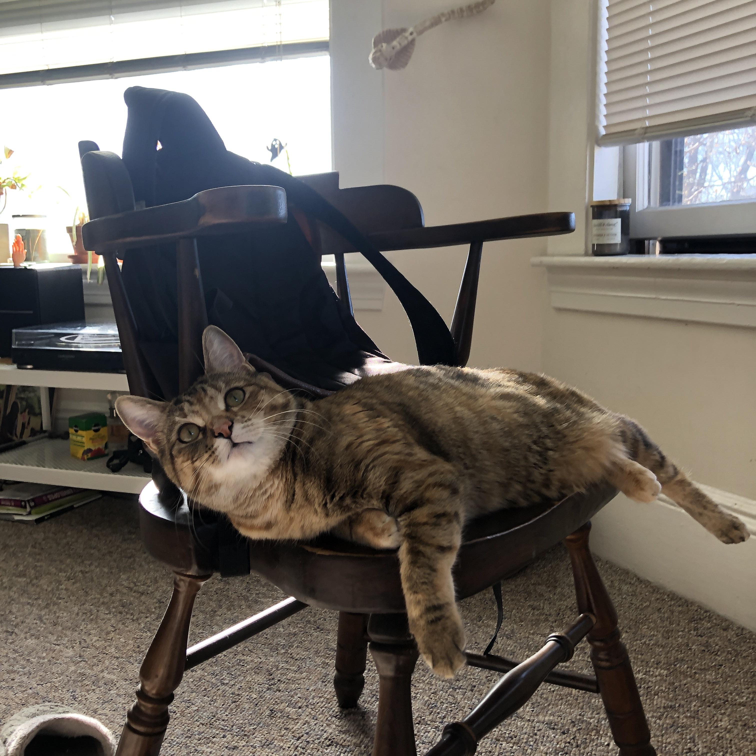 九游娱乐官网 (JIUYOU)-米兰双雄状态火热，争夺意甲前列