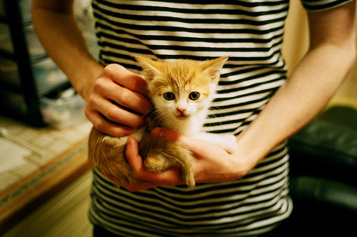 九游（jiuyou.com）游戏-苏炳添表示百米成绩仍有进步空间，苏炳添 百米