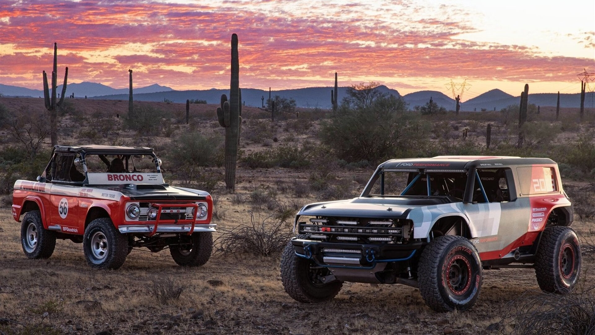 九游娱乐官网 (jiuyou)-麦金托什泳姿流畅，动作精准，麦金托什是哪国人