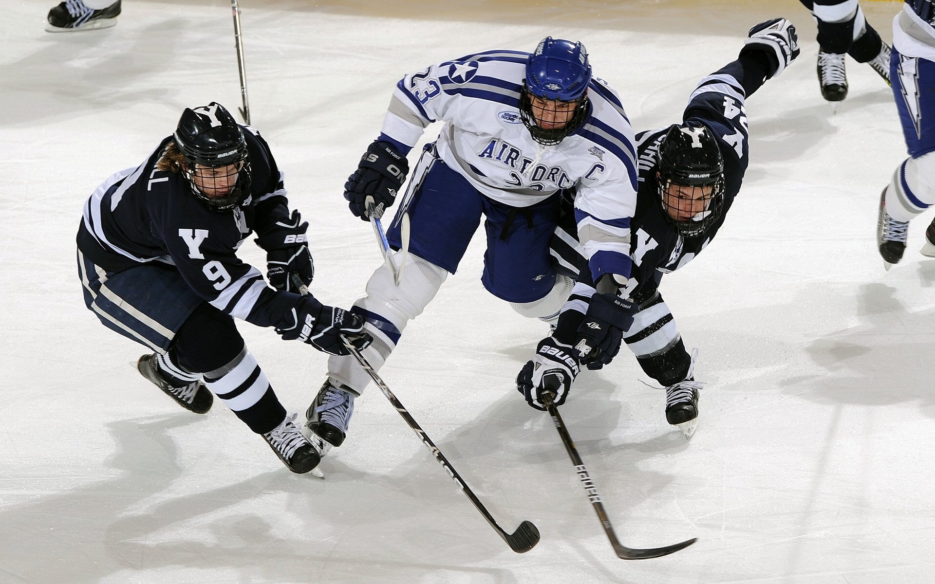 最热情的球迷团体：他们把比赛变成节日的狂欢，球迷氛围最好的球队